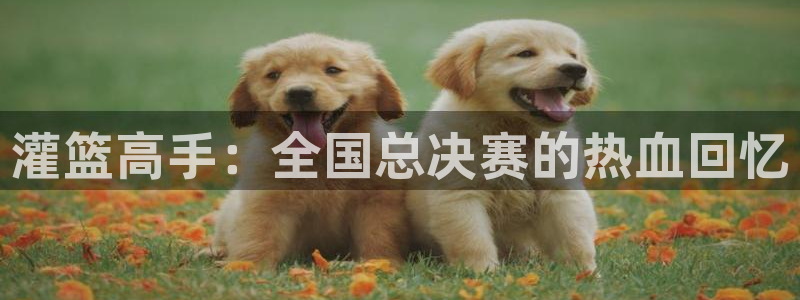 51漫画下载免费版下载