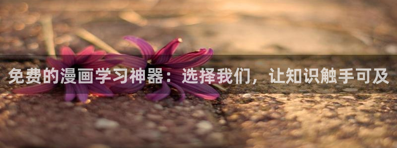 51漫画下载入口